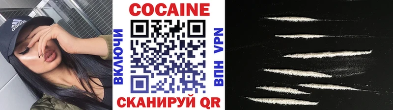 Cocaine FishScale  Купить закладки  Усть-Катав 