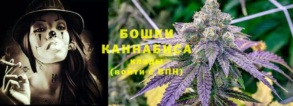 СК Аркадак
