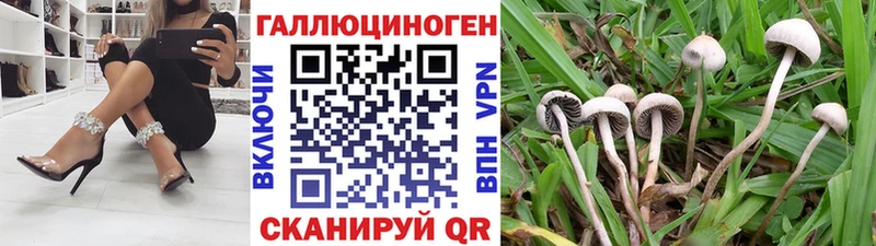 Псилоцибиновые грибы Psilocybine cubensis  Купить  Усть-Катав 
